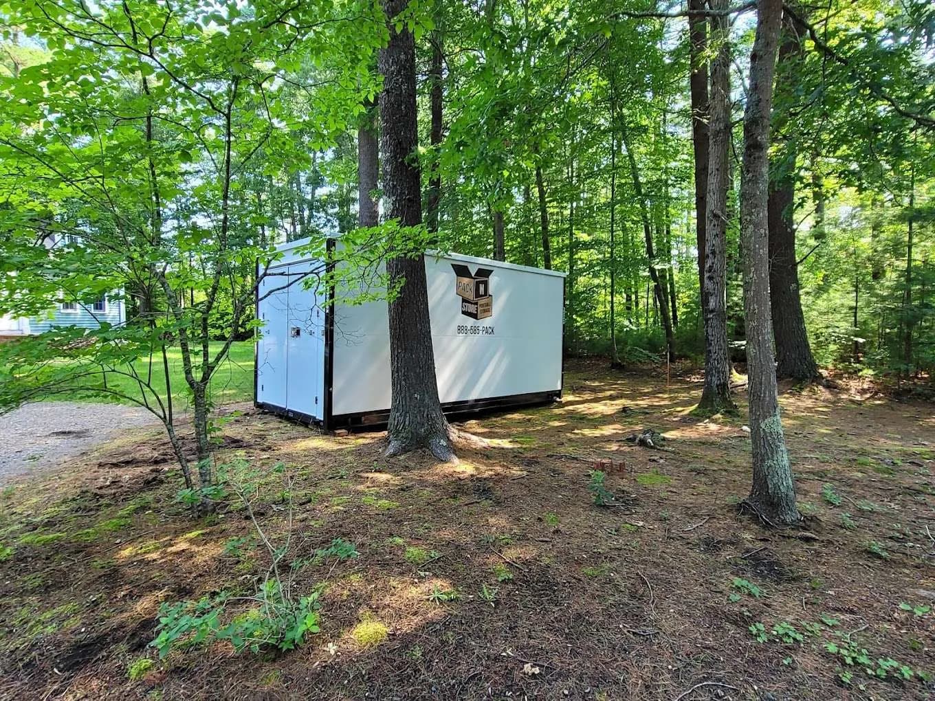 A container on pine duff between mature pines, a gravel drive running past.